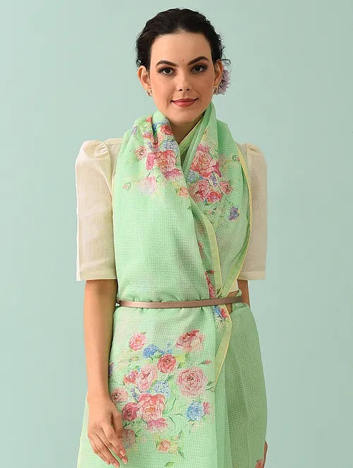 Noor - Meadow Muse Kota Saree